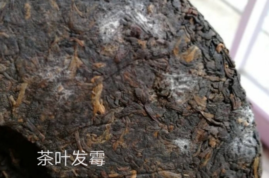 西湖龍井茶毫和發(fā)霉區(qū)別圖片，長(zhǎng)霉的龍井茶葉會(huì)是什么樣？
